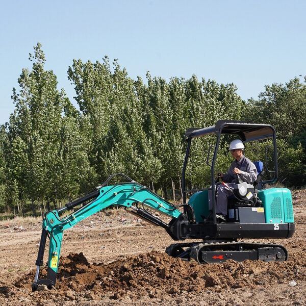 Mini Excavator TE25 2.2 tone