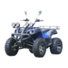 ATV Electric Quad WD7
