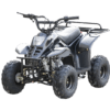 ATV benzina FX110 Dinosaur
