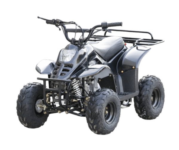 ATV benzina FX110 Dinosaur